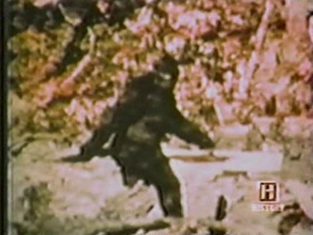 In Search Of… S01E05 Bigfoot