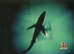 In Search Of… S02E12 The Shark Worshipers