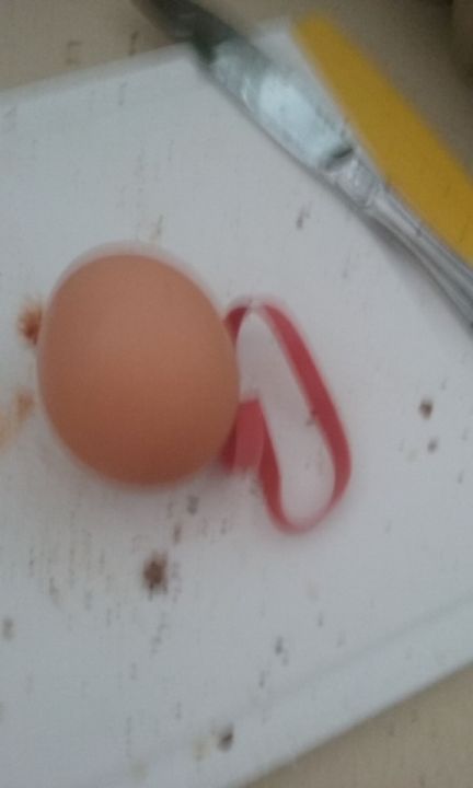 Artsy photo of egg, check!
